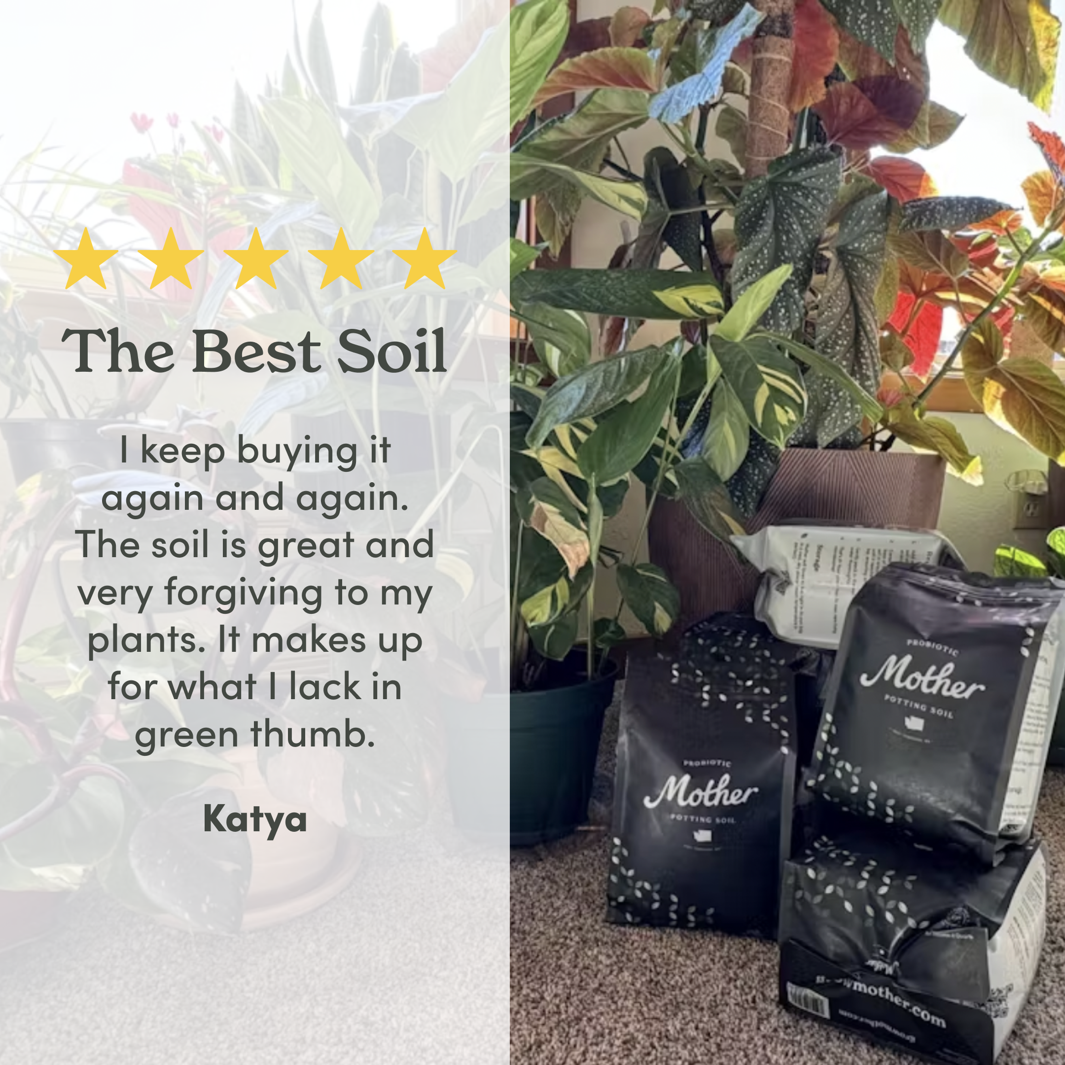 Best soil testimonial