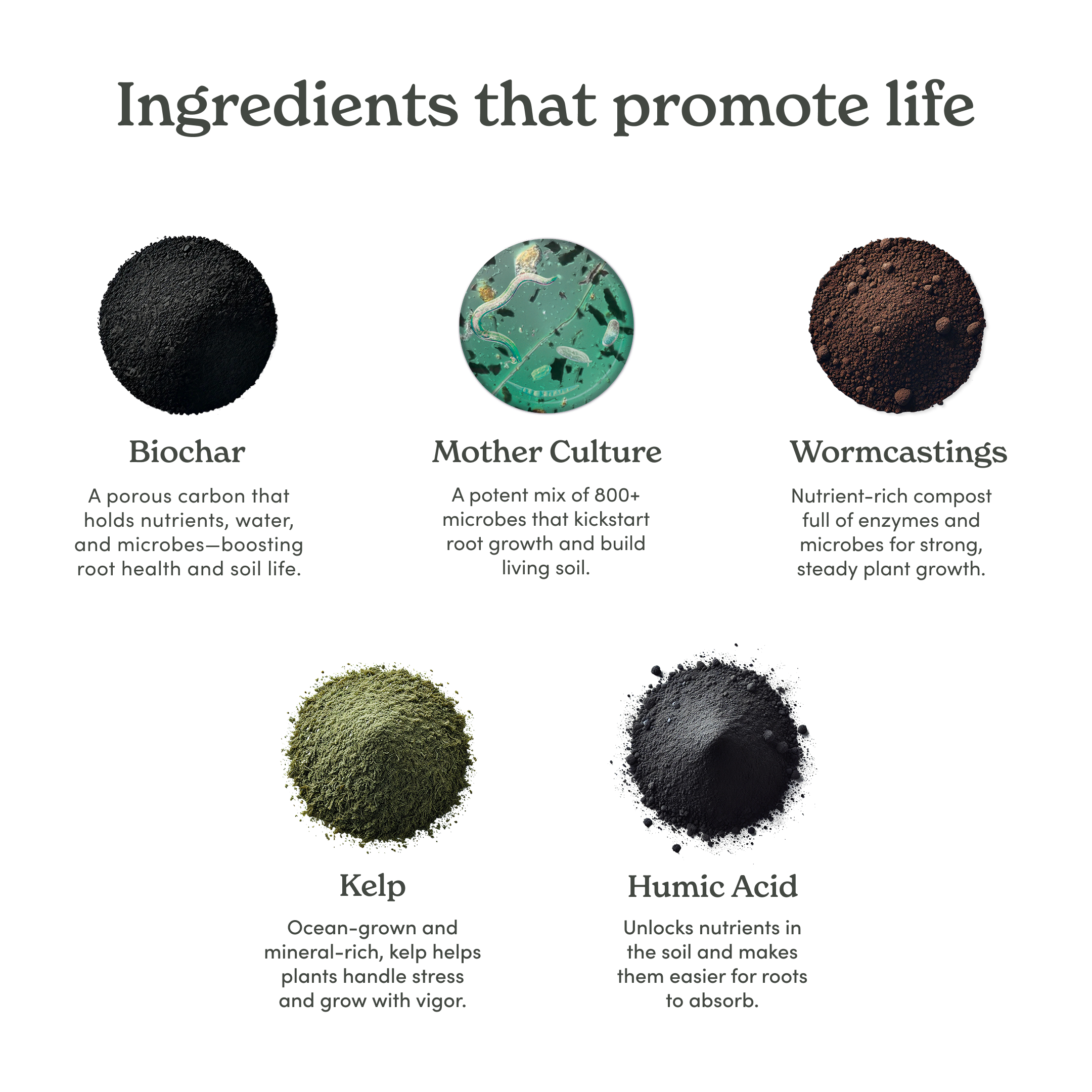 Ingredient list