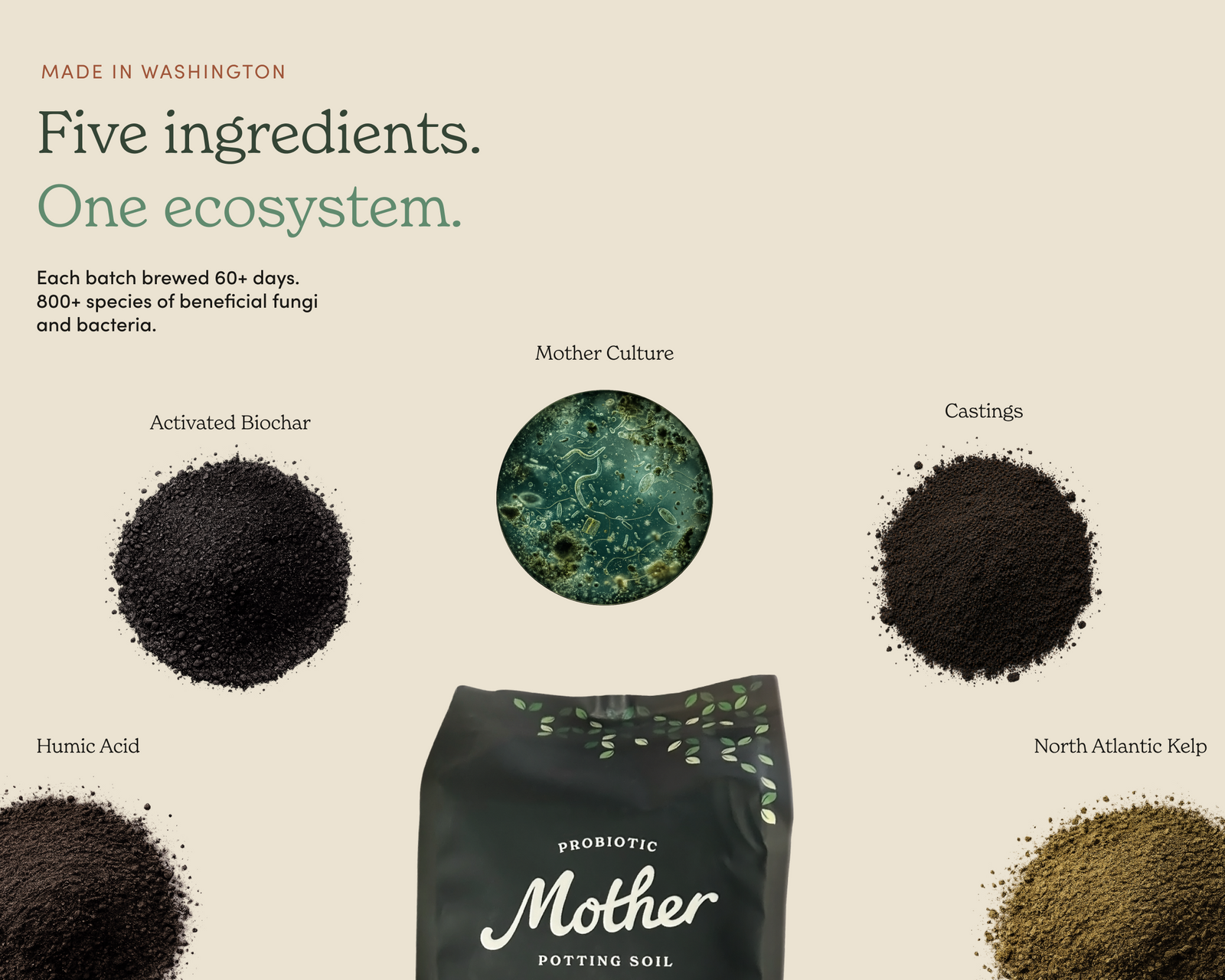 Mother Soil