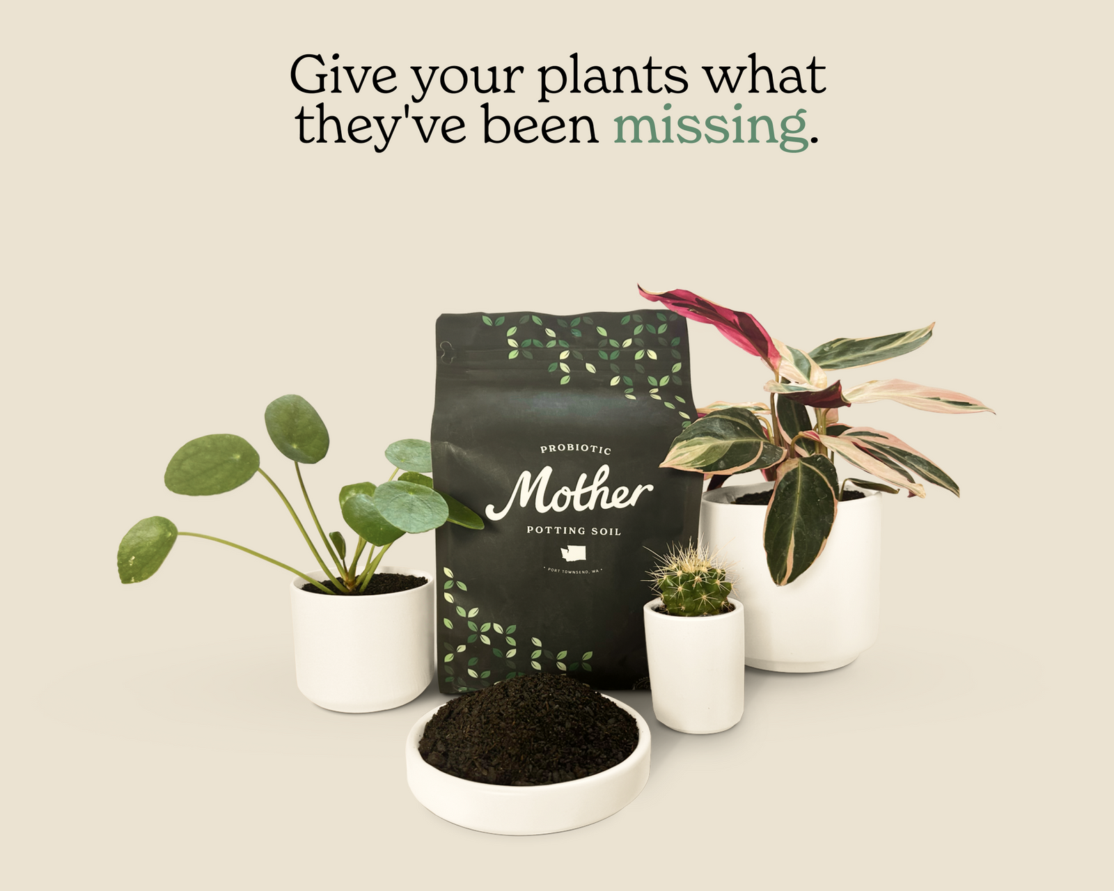 Mother Soil
