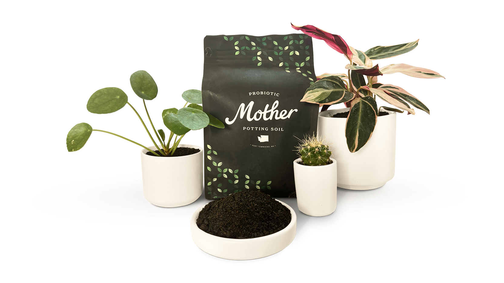 Mother Soil bag with potted houseplants